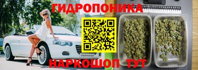 трава Славгород