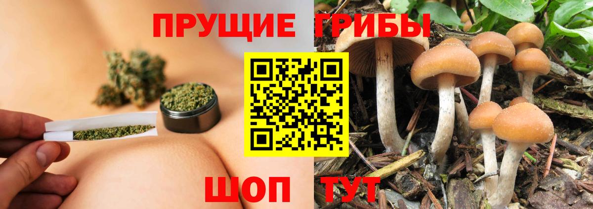 Галлюциногенные грибы MAGIC MUSHROOMS Приморско-Ахтарск