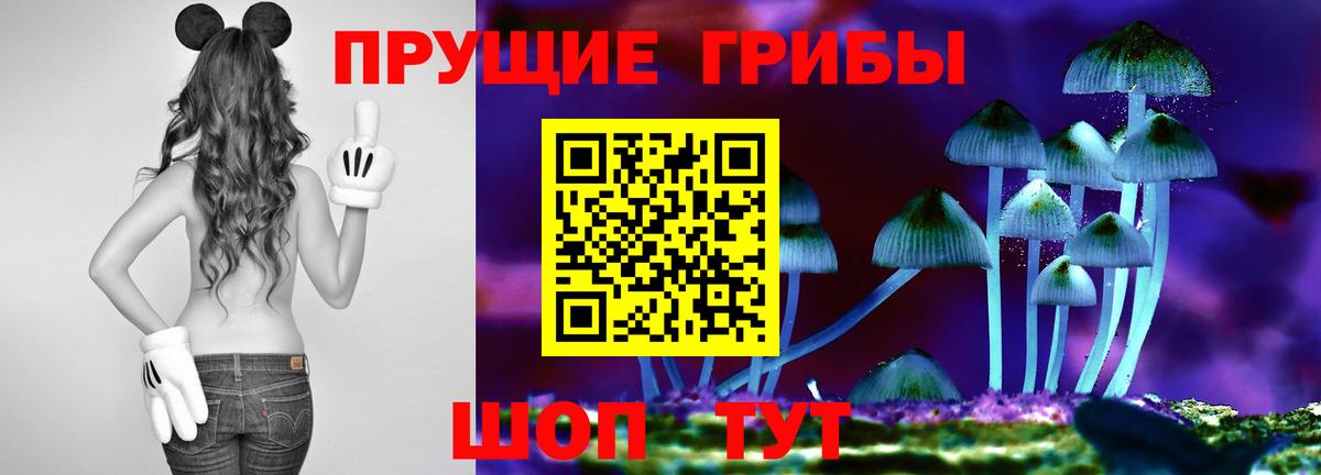 Псилоцибиновые грибы ЛСД  Галлюциногенные грибы GOLDEN TEACHER  Вход с VPN  Приморско-Ахтарск 